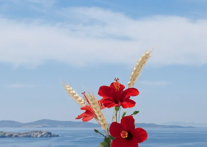米克诺斯景致酒店 酒店 Mykonos Town
