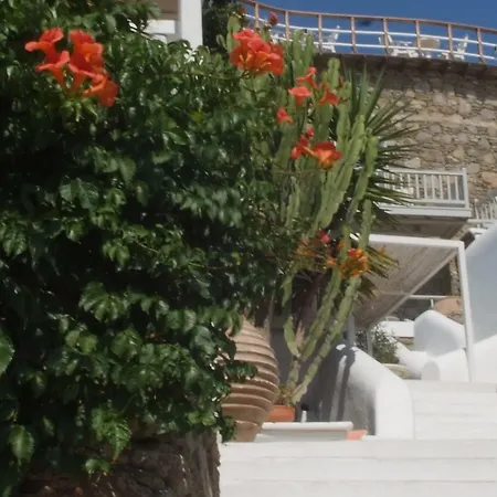 米克诺斯景致酒店 Mykonos Town