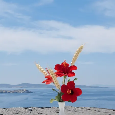 米克诺斯景致酒店 酒店 Mykonos Town